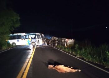 Acidente BA-522 : Dois veículos tentam desviar de animais, batem de frente e motorista morre