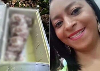 Após esconder corpo da mãe em geladeira, adolescente limpou cena do crime e foi dormir com assassino em Maceió