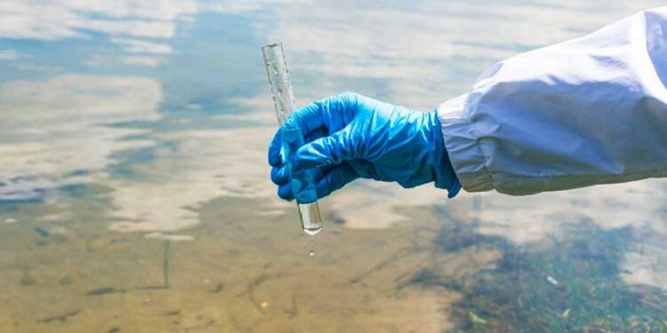 Salvador: Ministério confirma primeiro caso local de cólera após 18 anos