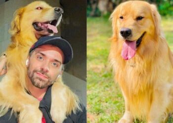 Senacon dá 2 dias para companhia aérea prestar esclarecimentos sobre morte do cão Joca