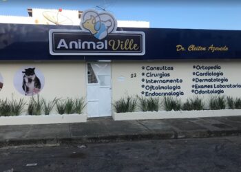 Escândalo em Vitória da Conquista: Negligência e Fraude na Clínica Animalville Chocam Donos de Animais