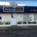 Escândalo em Vitória da Conquista: Negligência e Fraude na Clínica Animalville Chocam Donos de Animais