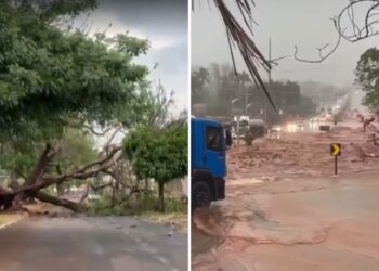 Temporais no estado de SP matam sete pessoas, diz Defesa Civil