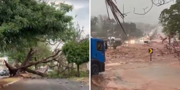 Temporais no estado de SP matam sete pessoas, diz Defesa Civil