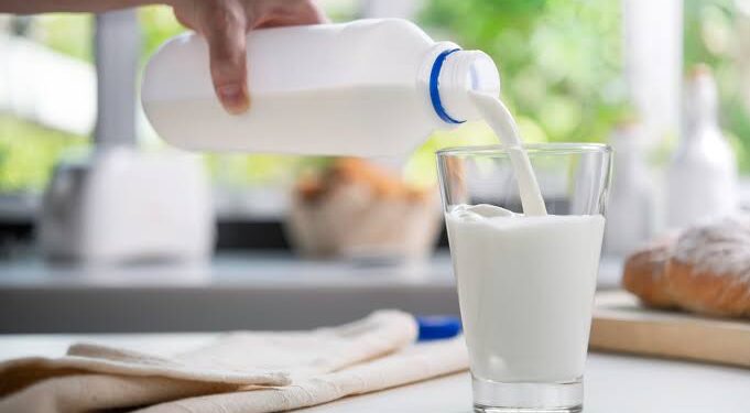 Em operação o MP identificou uso de soda cáustica e água oxigenada em leites