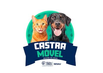 Prefeitura de Madre de Deus iniciou as cirurgias do projeto de Castração de animais
