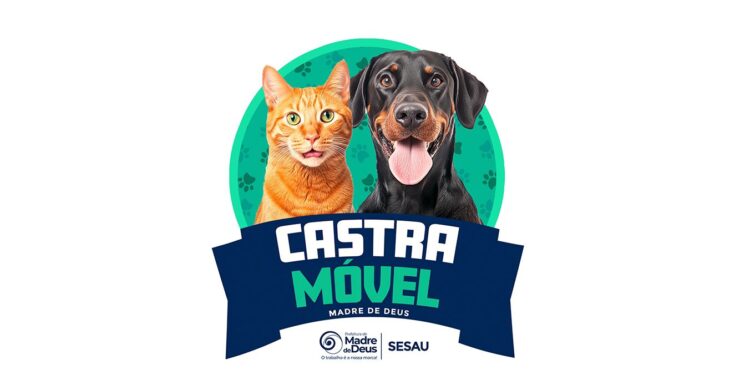 Prefeitura de Madre de Deus iniciou as cirurgias do projeto de Castração de animais