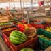 Candeias: Vendedores de hortifrúti do Centro de Abastecimento são convocados para atualização cadastral
