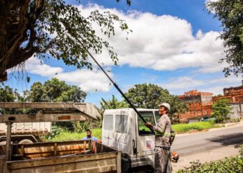 Candeias: Caroba recebe mutirão de limpeza “Seman nos Bairros
