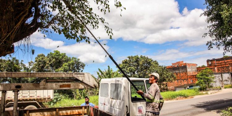 Candeias: Caroba recebe mutirão de limpeza “Seman nos Bairros