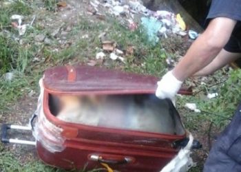 Homem é preso suspeito de matar namorada encontrada em mala de viagem