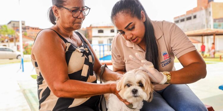 Candeias: SESAU realiza ação de controle de endemias e zoonoses nesta sexta-feira (12)
