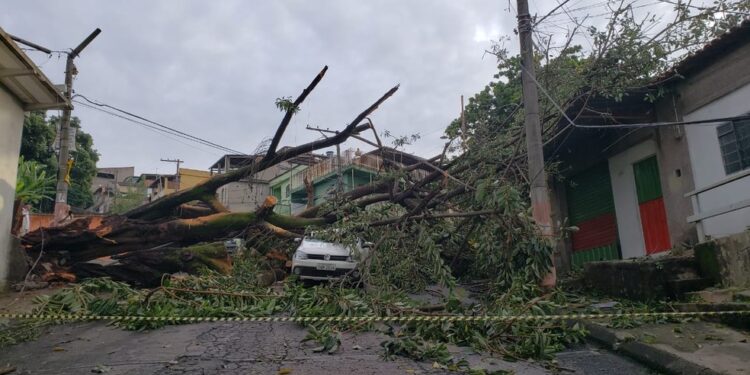 Chuva forte em Belo Horizonte provoca alagamentos, quedas de árvores e falta de energia