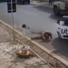 Passageira se joga de carro de aplicativo em movimento, por não querer pagar valor de apenas R$ 10,00