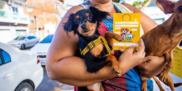 Madre de Deus realiza Campanha Nacional de Vacinação Antirrábica para cães e gatos